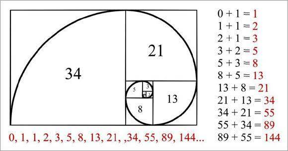 Fibonacci Indicator ฟิโบนักชี